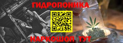 ГАЛЛЮЦИНОГЕННЫЕ ГРИБЫ Кандалакша