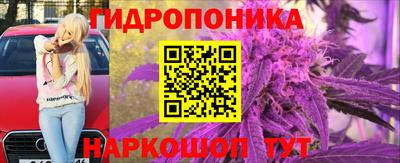 спиды Канаш