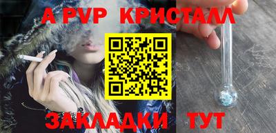 винт Камышлов