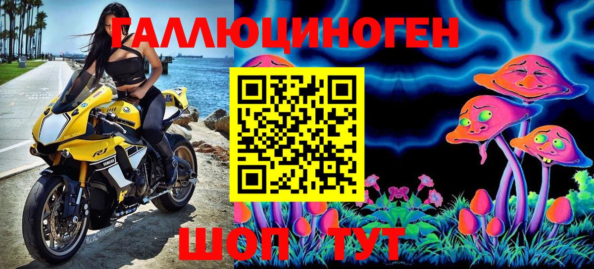 Лабытнанги  Псилоцибиновые грибы Psilocybine cubensis  Вход с VPN 