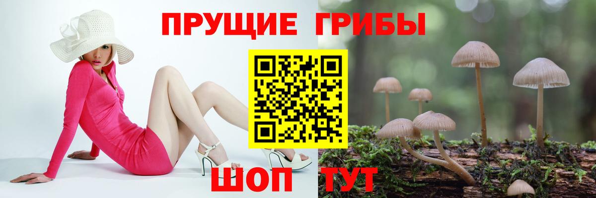 Галлюциногенные грибы ЛСД Лабытнанги